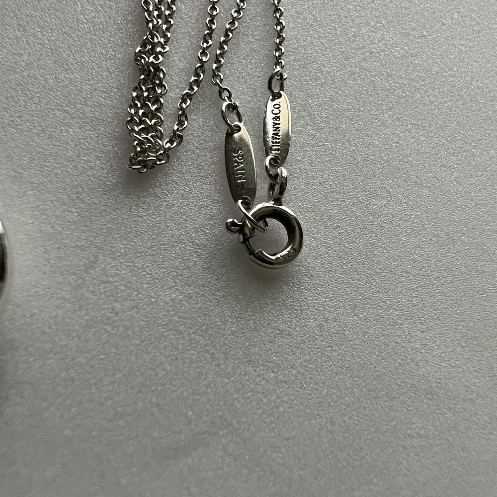 Tiffany and Co Eternal circle neckalce - Picture 4 of 6